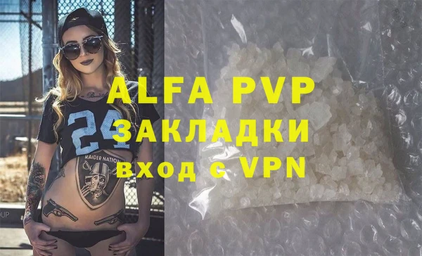 стафф Алзамай