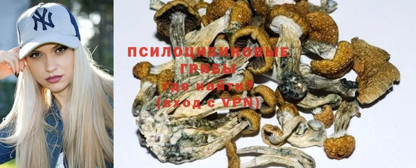 каннабис Алексин