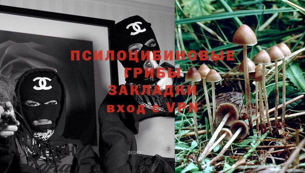 каннабис Алексин