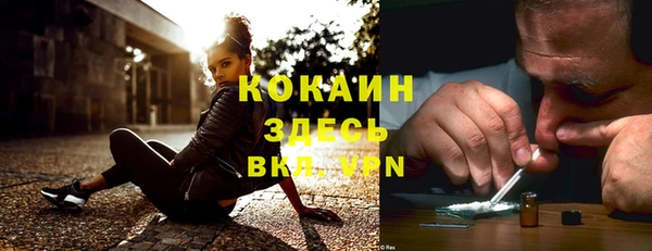 стафф Алзамай